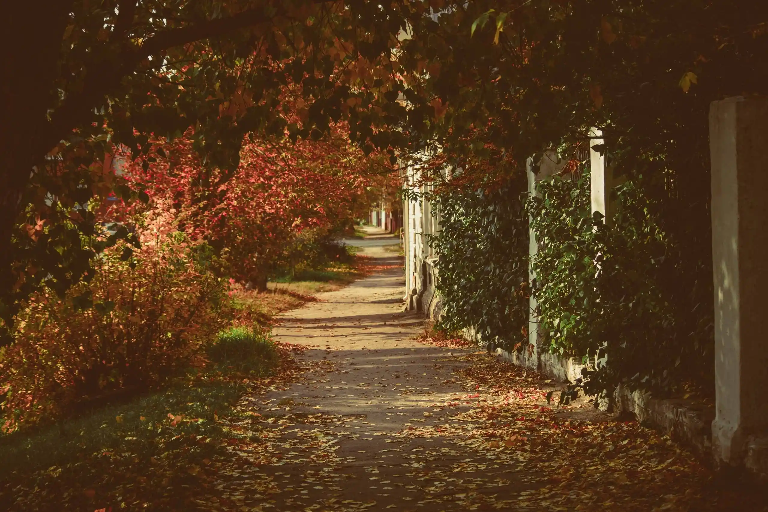 Город осенью